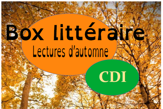 cdi.png