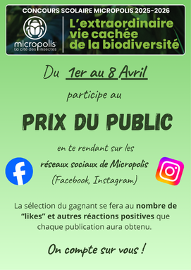 Concours_micropolis_prix_du_public.png